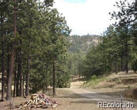 18908 County Road 31 9, Weston, CO 81091