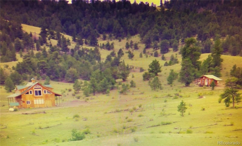 79 Quail Ct, Hartsel, CO 80449
