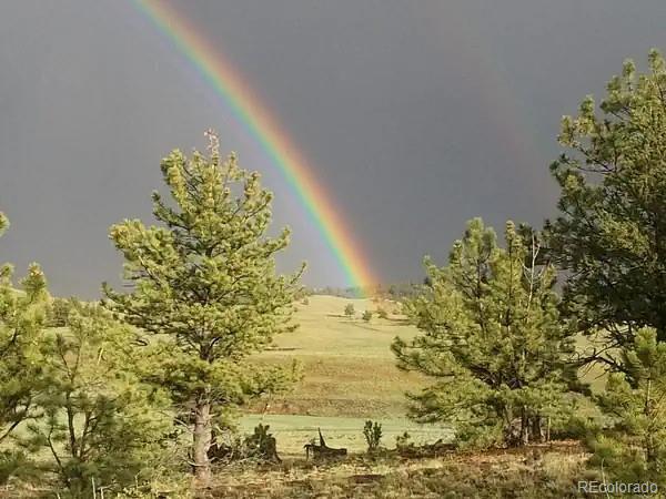 79 Quail Ct, Hartsel, CO 80449