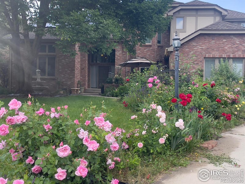 8461 Pawnee Ln, Niwot, CO 80503