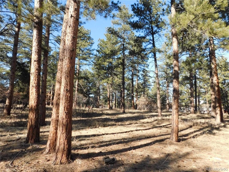 5845 Pike Dr, Larkspur, CO 80118