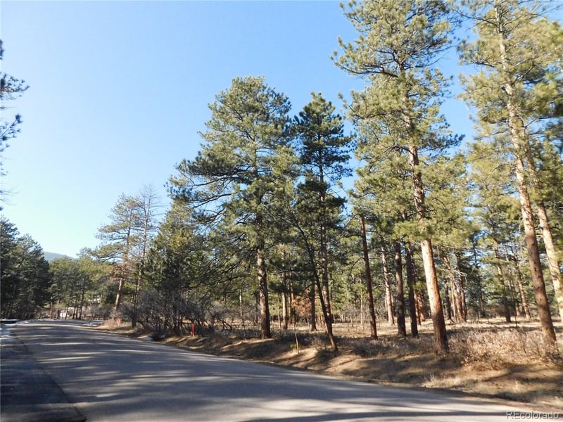 5845 Pike Dr, Larkspur, CO 80118