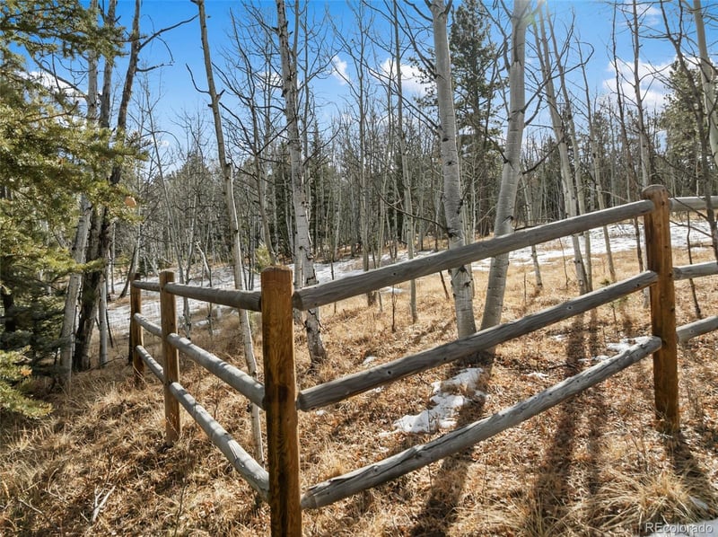 Lot 20 Echo Lake Dr, Florissant, CO 80827