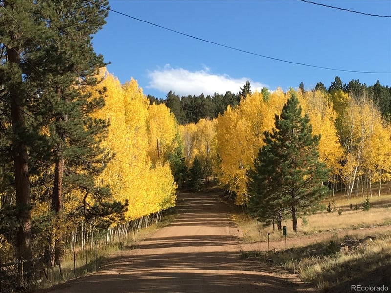 Lot 20 Echo Lake Dr, Florissant, CO 80827