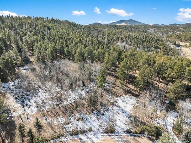 Lot 20 Echo Lake Dr, Florissant, CO 80827