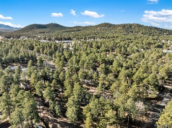 Lot 20 Echo Lake Dr, Florissant, CO 80827