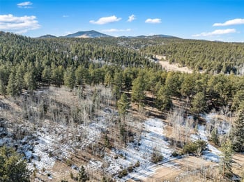 Lot 20 Echo Lake Dr, Florissant, CO 80827