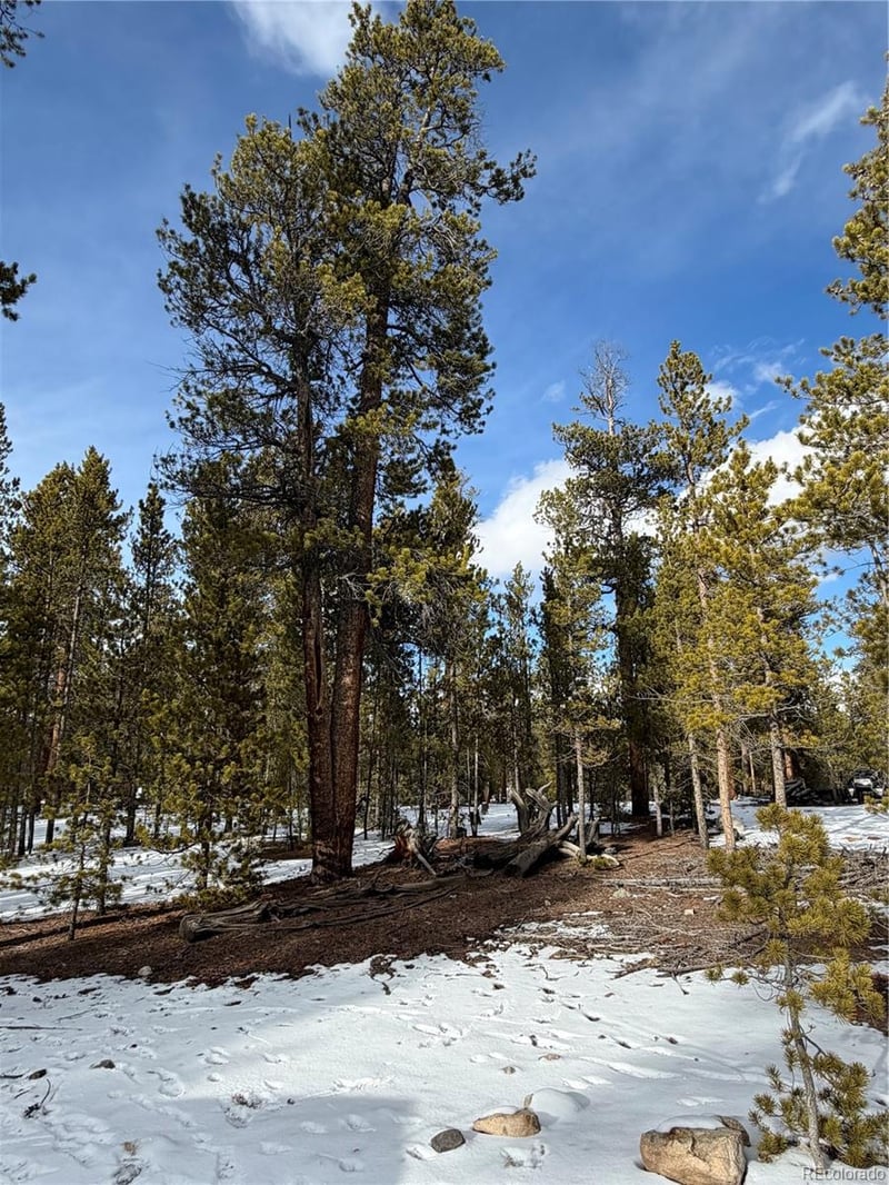 379 Peak View Dr, Leadville, CO 80461