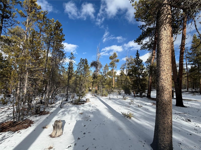 379 Peak View Dr, Leadville, CO 80461