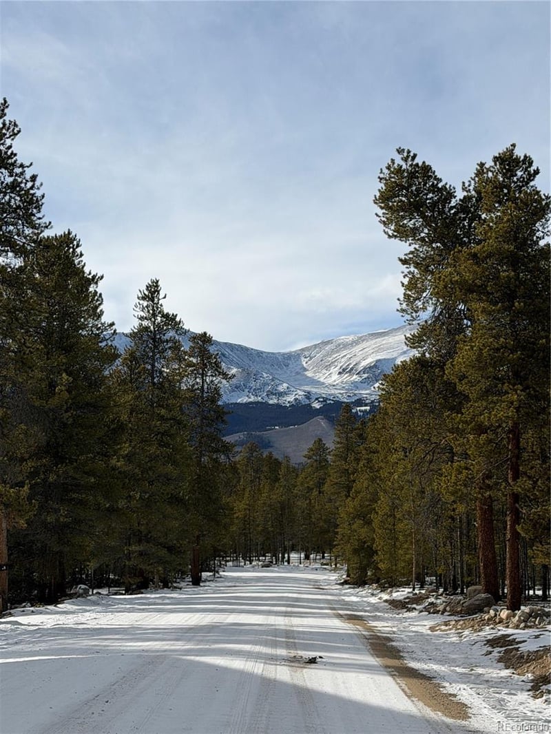 379 Peak View Dr, Leadville, CO 80461