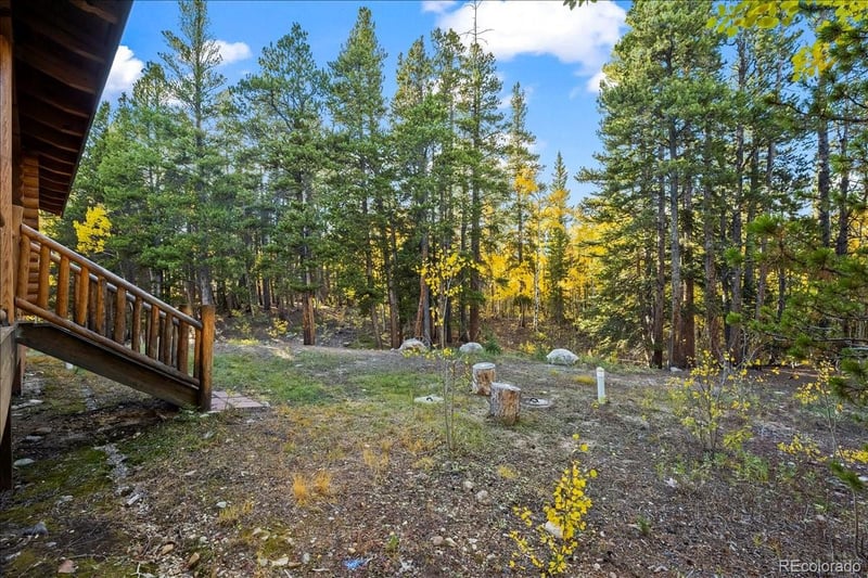 1119 Venture Rd, Fairplay, CO 80440