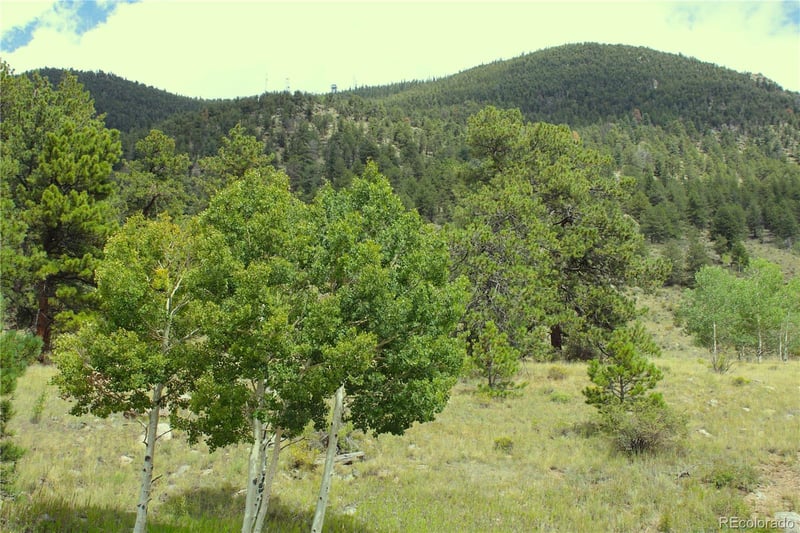 Hwy 24 , Hartsel, CO 80827