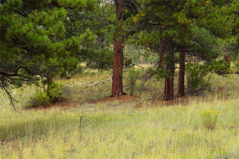 Hwy 24 , Hartsel, CO 80827