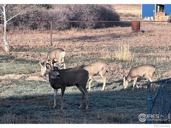 11837 County Road 39, Fort Lupton, CO 80621