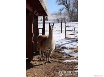 1034 Spring Dr, Boulder, CO 80303