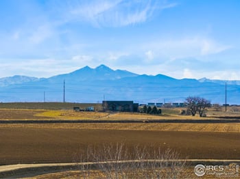 303 Juneberry St, Milliken, CO 80543