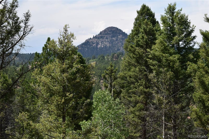 93 Kiowa Creek Trl, Florissant, CO 80816