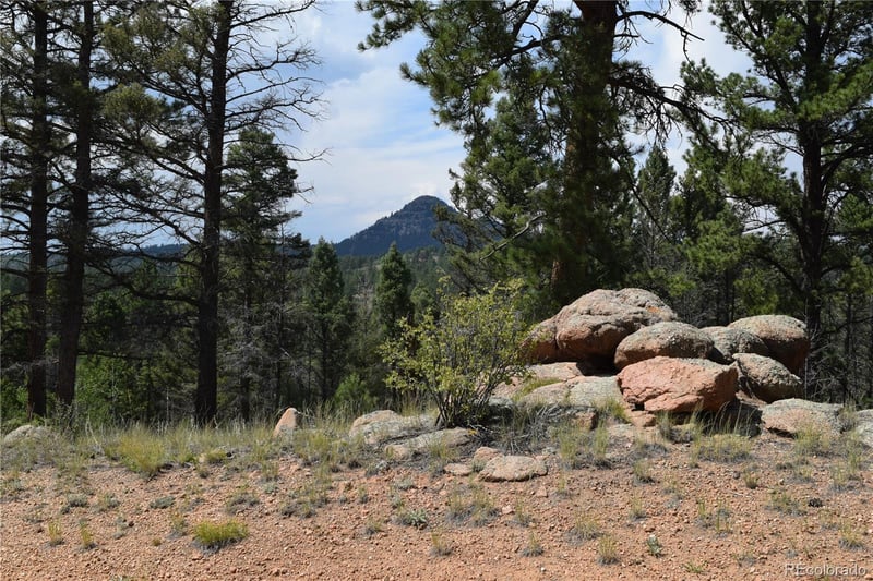 93 Kiowa Creek Trl, Florissant, CO 80816