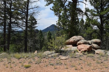 93 Kiowa Creek Trl, Florissant, CO 80816