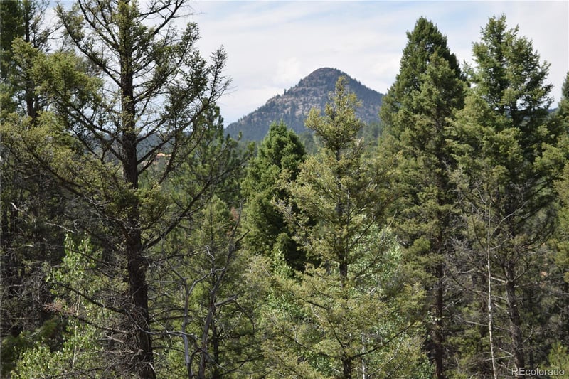 93 Kiowa Creek Trl, Florissant, CO 80816