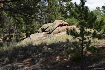 93 Kiowa Creek Trl, Florissant, CO 80816