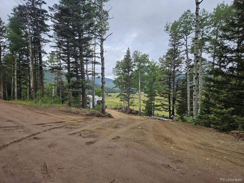 Lot 2841 Wendt Ln, Fort Garland, CO 81133
