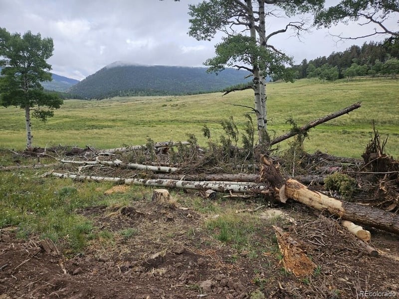 Lot 2841 Wendt Ln, Fort Garland, CO 81133