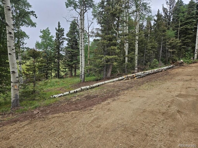 Lot 2841 Wendt Ln, Fort Garland, CO 81133
