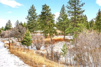 6570 Pike Dr, Larkspur, CO 80118