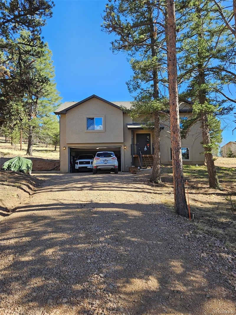 24 Big Horn Cir, Florissant, CO 80816