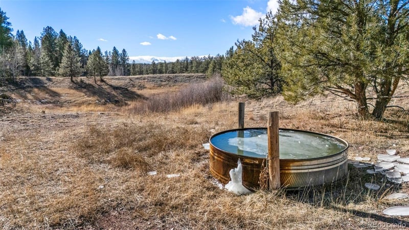0 County Road 12, Florissant, CO 80816