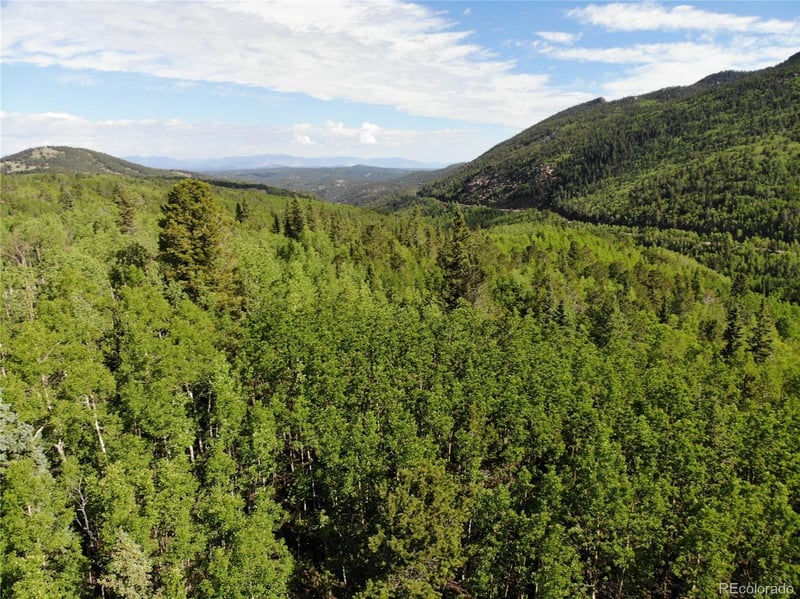 12775 S State Highway 67, Cripple Creek, CO 80813