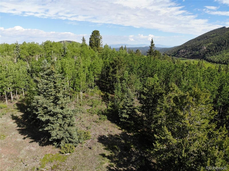 12775 S State Highway 67, Cripple Creek, CO 80813