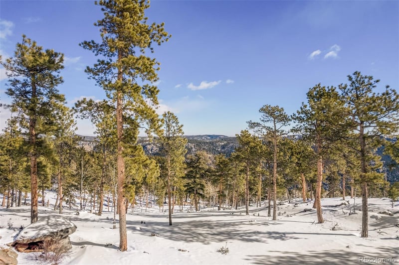 13144 Pine Country Ln, Conifer, CO 80433