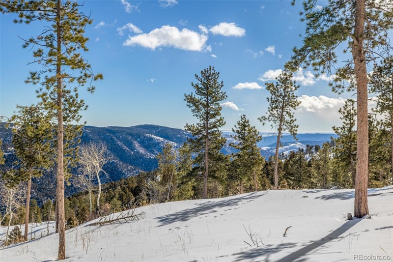 13144 Pine Country Ln, Conifer, CO 80433