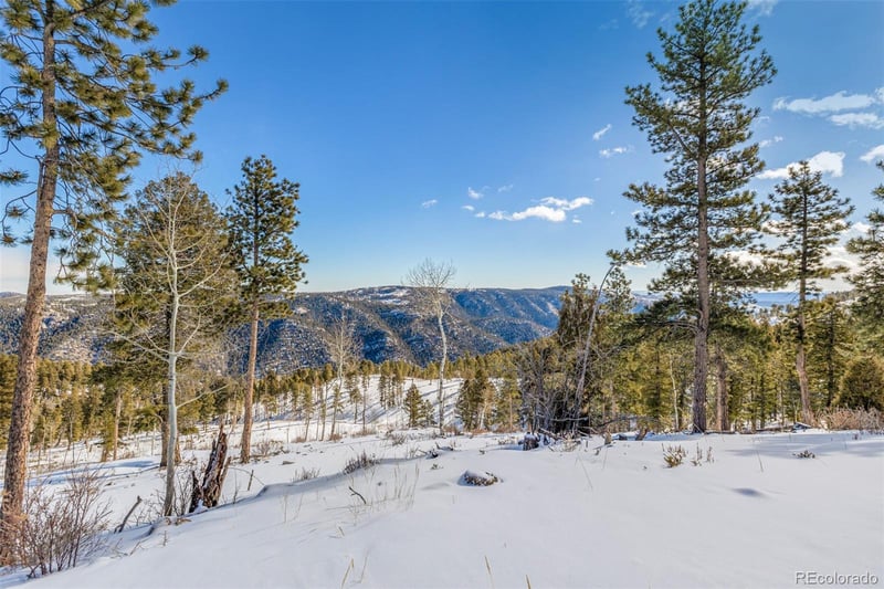 13144 Pine Country Ln, Conifer, CO 80433