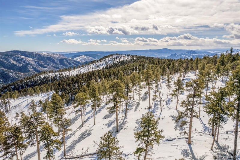 13144 Pine Country Ln, Conifer, CO 80433