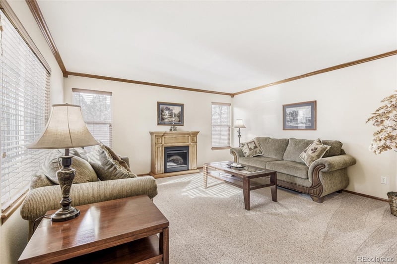 10091 Astoria Ct, Lone Tree, CO 80124