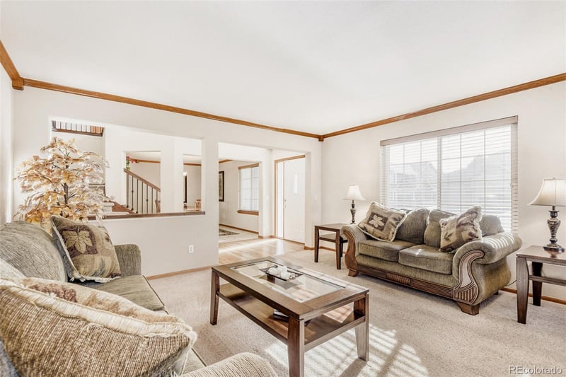 10091 Astoria Ct, Lone Tree, CO 80124