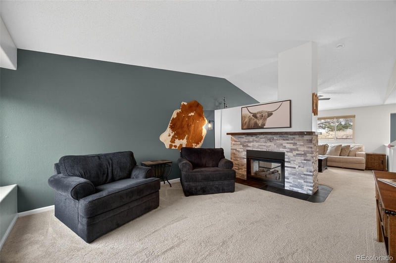 11306 Rodeo Cir, Parker, CO 80138