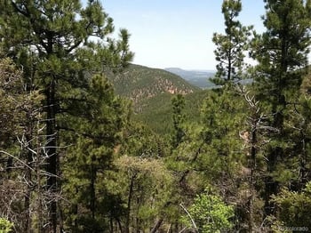 13499 Firedog Way, Larkspur, CO 80118