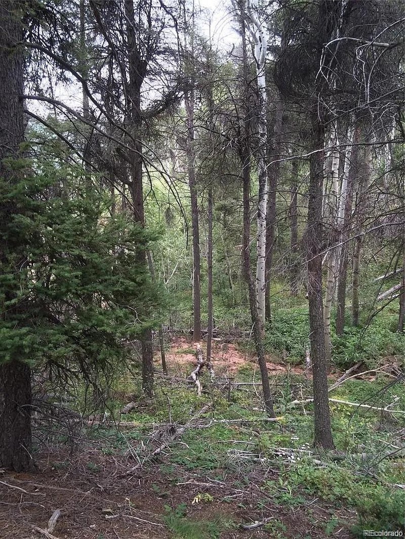 13499 Firedog Way, Larkspur, CO 80118