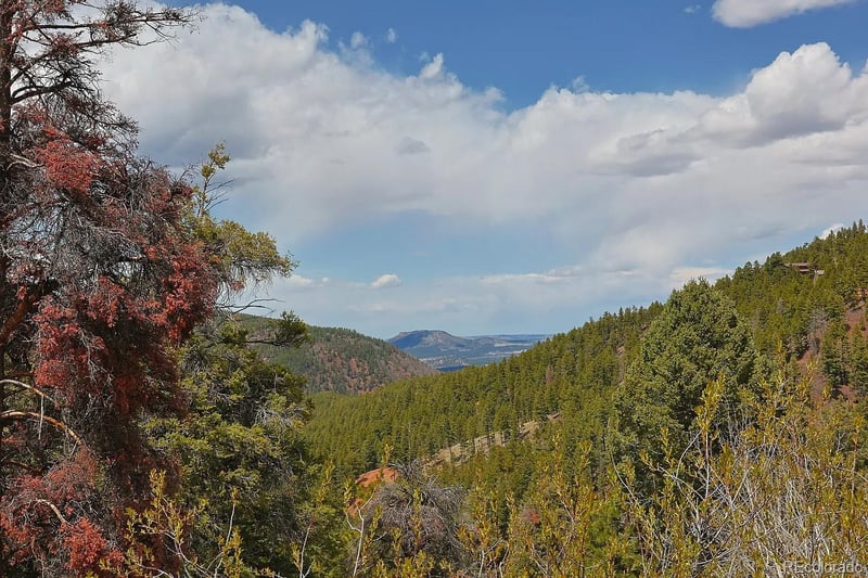 13499 Firedog Way, Larkspur, CO 80118
