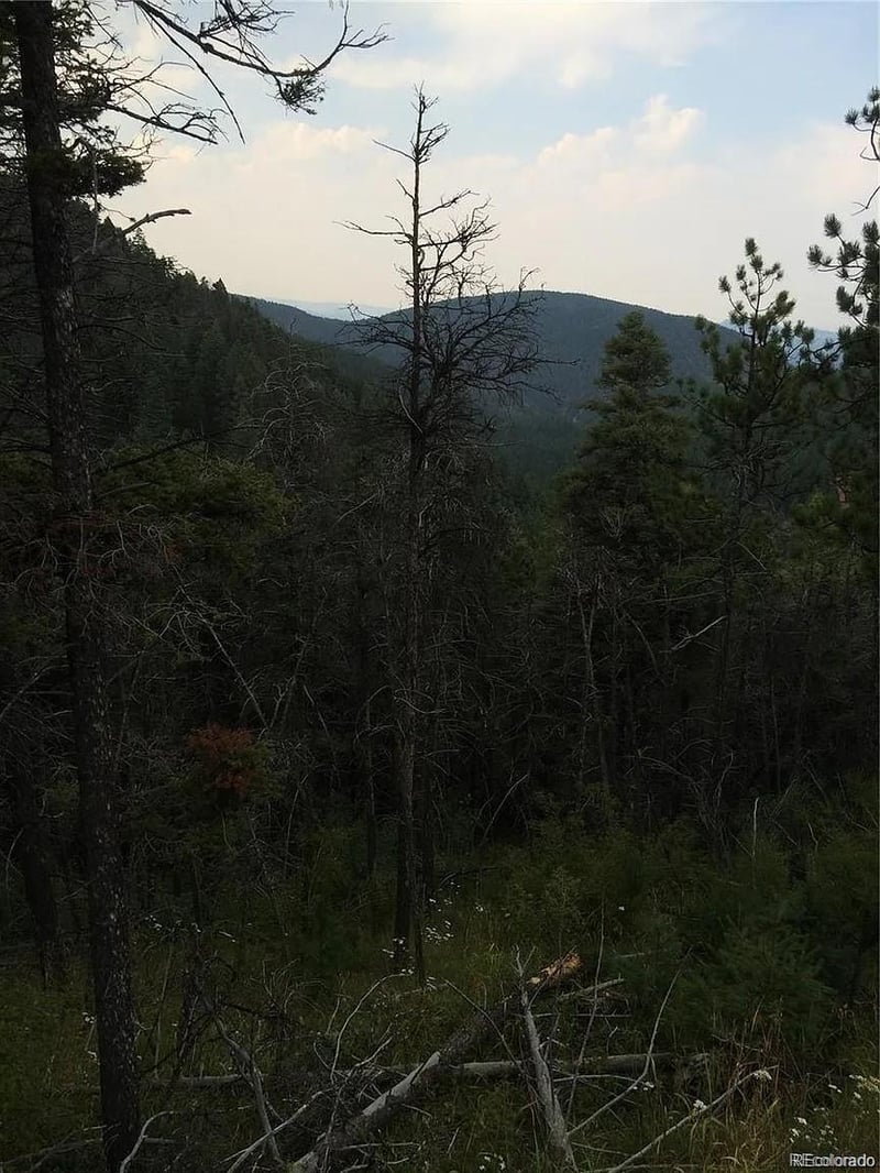 13499 Firedog Way, Larkspur, CO 80118