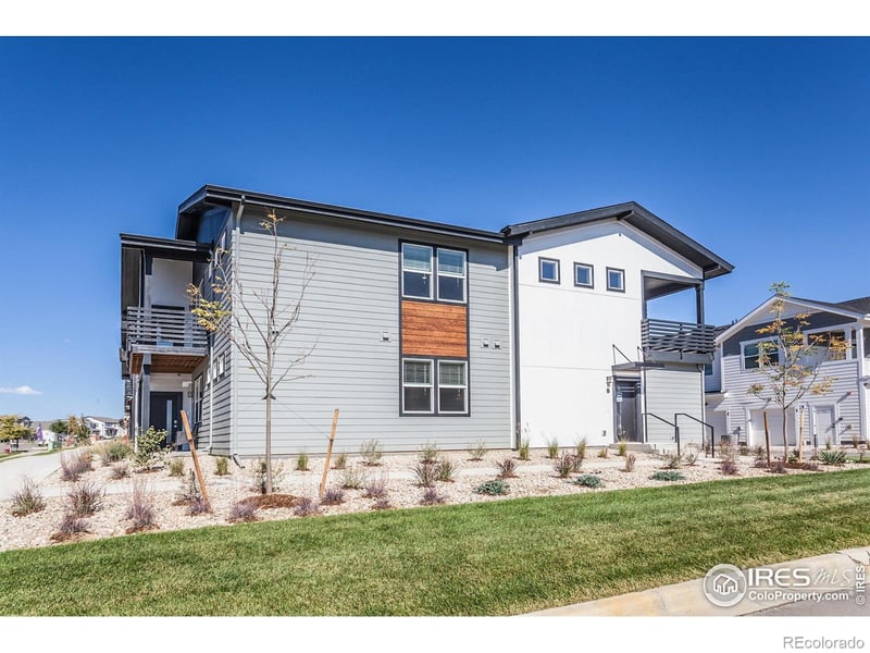 2120 Falling Leaf Dr #8, Windsor, CO 80550