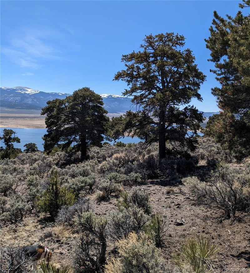 Lot 13 Eastridge Trl Lot 13, San Luis, CO 81152