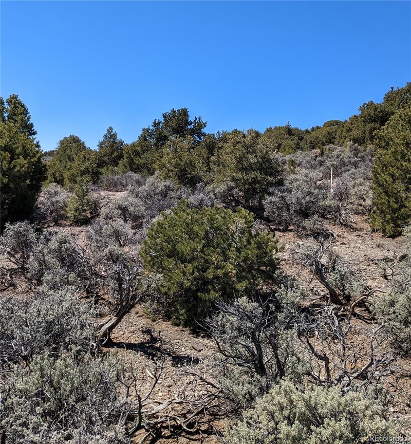 Lot 13 Eastridge Trl, San Luis, CO 81152