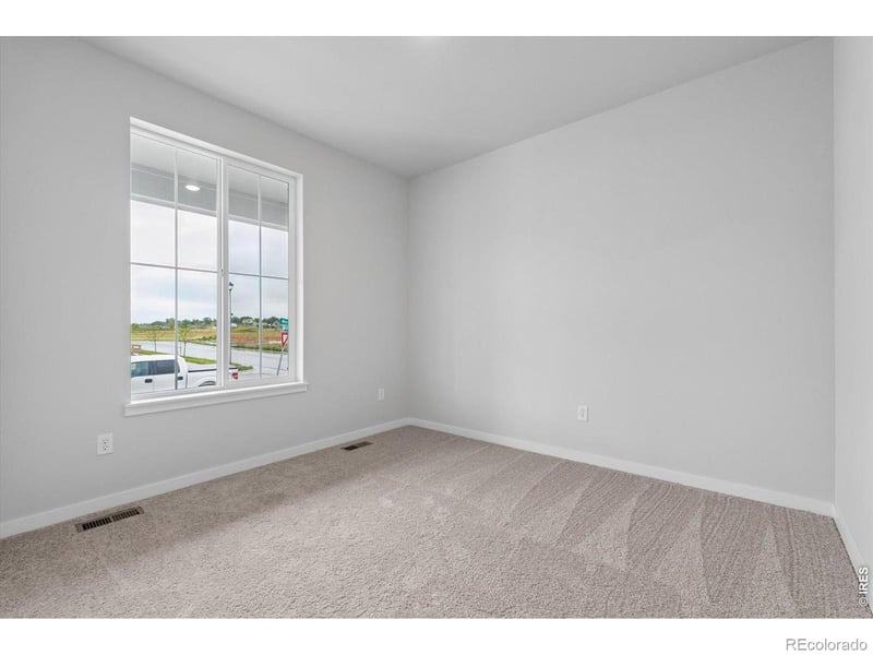 803 Mesic Ln, Windsor, CO 80550