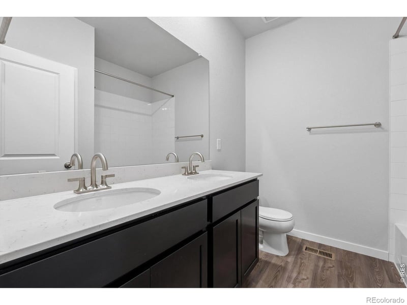 803 Mesic Ln, Windsor, CO 80550