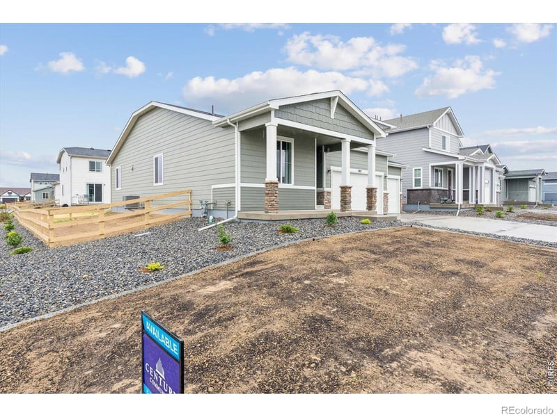 803 Mesic Ln, Windsor, CO 80550